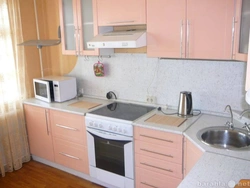 Фото кухни посуточно