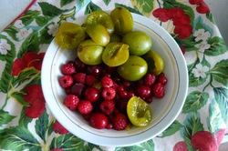 Кухня Ягода Фото