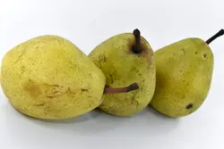 Nok oshxona fotosurati