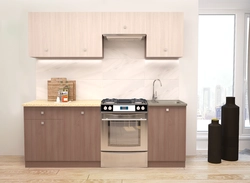 Delhi kitchen photo