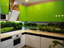 Forest Kitchen Photo