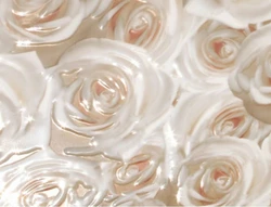 Сурати ваннаи Camellia