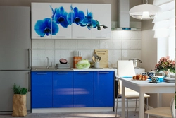 Kitchen photo cornflowers