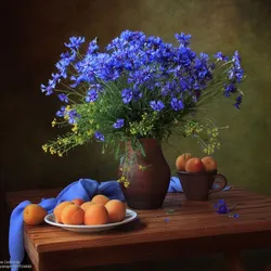 Акси ҷуворимакка дар ошхона