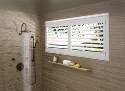 Roller shutters photo bathroom