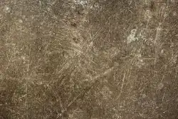 Kitchen cobweb photo