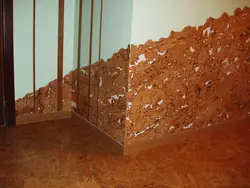 Прихожая Пробка Фото