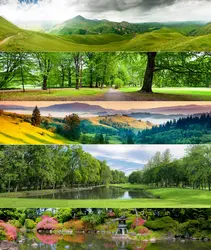 Пейзажи кухни фото