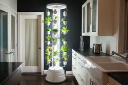 Garden in the kitchen photo