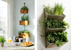 Garden In The Kitchen Photo
