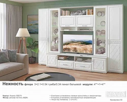 Photos of all living rooms flora