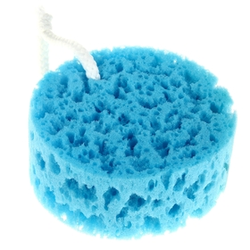 Bath sponge photo