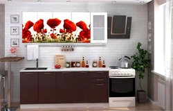 Mətbəx Mdf Foto Çap Şəkli