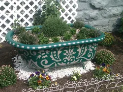 Bath in the garden photo