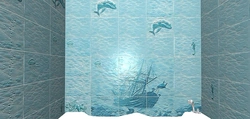 Ships in the bathroom photo