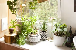 Pot in the kitchen photo