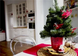 Christmas tree in the kitchen photo