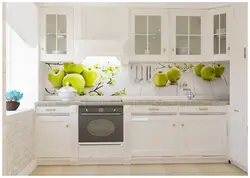 Kitchen photo with panda
