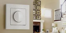 Light Switch In The Living Room Photo