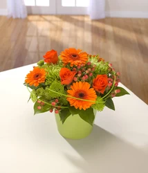 Kitchen with gerberas photo