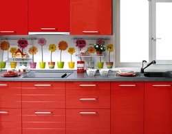 Kitchen with gerberas photo