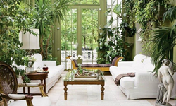 Garden in the living room photo