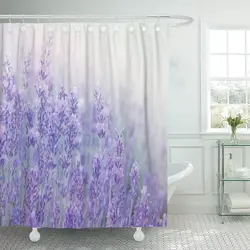 Lavanda ilə hamam fotoşəkili