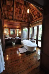 Bath In The Forest Photo
