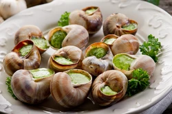 French cuisine photo