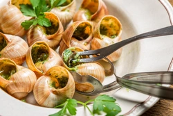 French Cuisine Photo