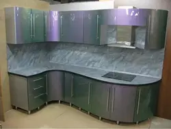 Kitchen Chameleon Photo