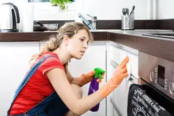 Kitchen cleaning photo