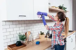 Kitchen Cleaning Photo