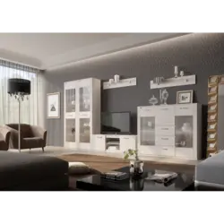 Elana's living room photo