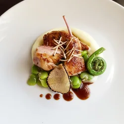 Haute Cuisine Photo