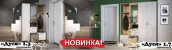 Прихожая дуся фото