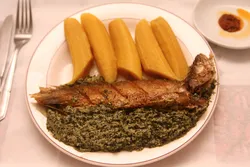 Photo of african cuisine