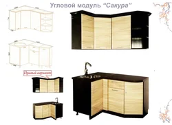Акси Сакураи Ошхона