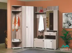 Аксбардорӣ аз долон