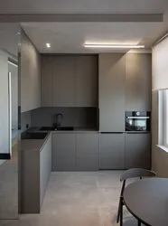 Kitchens in gray design 2023