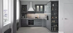 Kitchens in gray design 2023
