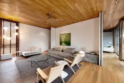 Living room design under wood in a modern style