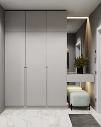 Wardrobe in the hallway 4 meters long design