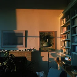 Bir mənzildə bir otağın fotoşəkili estetika