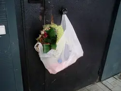 Kvartira eshigidagi gullar fotosurati