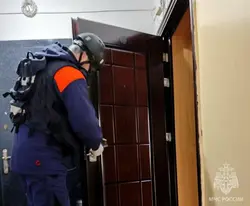 Цветы в двери квартиры фото