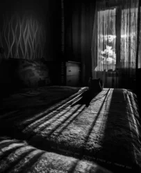 Photo of a room at night in an apartment