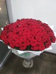 Цветы на полу в квартире реальные фото