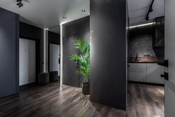 Graphite doors in the interior of the apartment