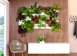 Design of wall colors in an apartment